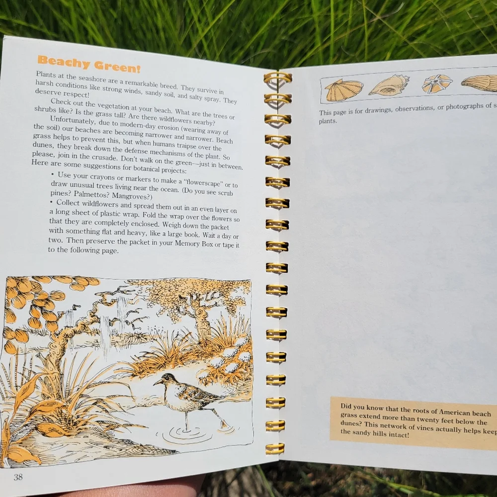 My Trip To The Beach ~ A Memory-Box Activity Book Set  ~ 1987 ~ FINAL PRICE!